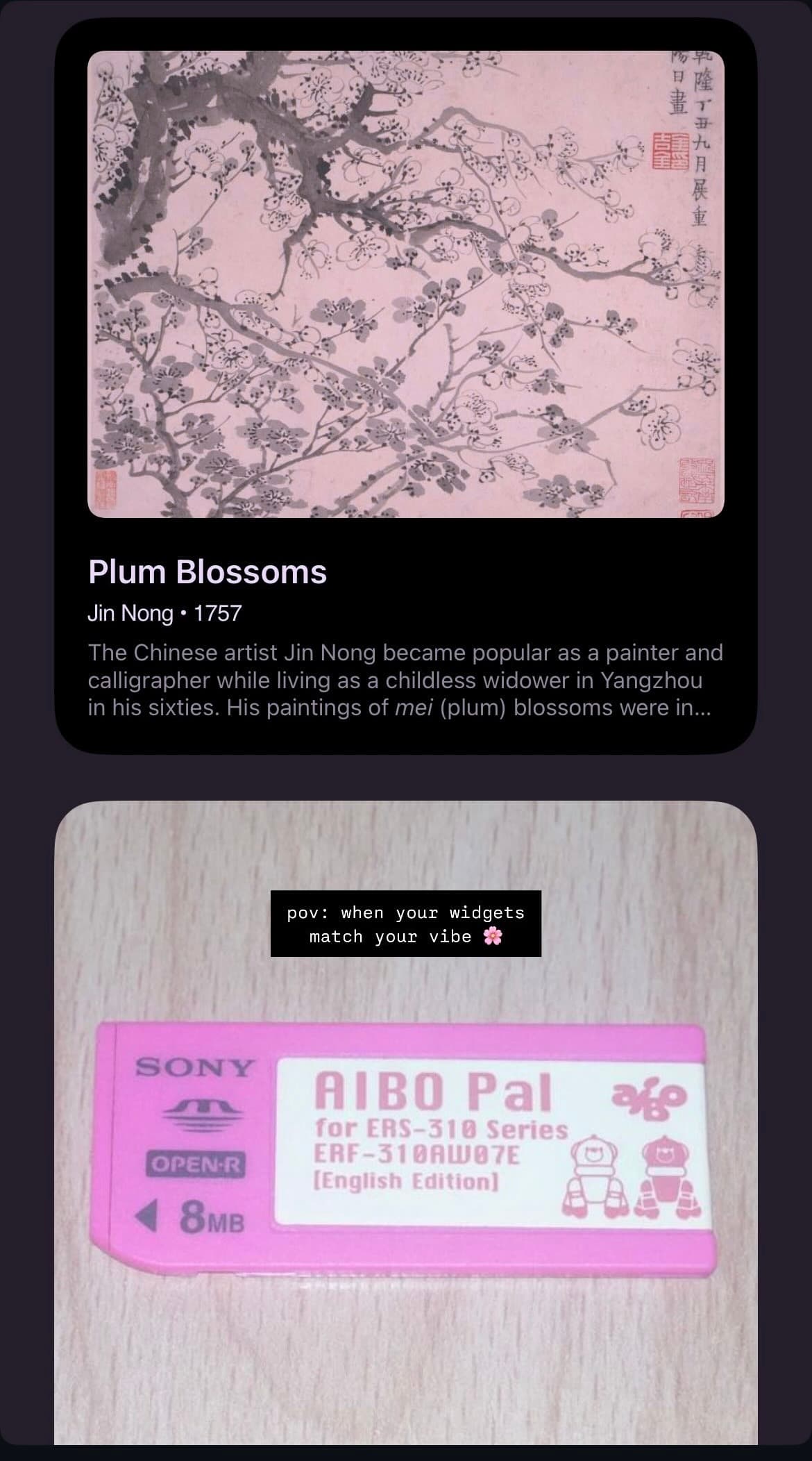 a screenshot pairing Jin Nong's ink painting Plum Blossoms, 1757, with a pink Sony AIBO Pal memory stick captioned 'pov: when your widgets match your vibe'